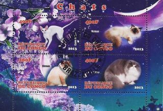 2013 Republic Of Congo Postage Mini - Sheet Of 4 Cats Feline Persian Birman Cto photo