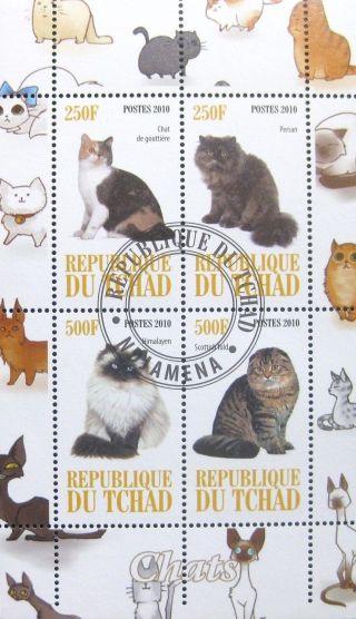 2010 Chad Postage Mini - Sheet Cats Domestic Animals Feline Persian Himalayan Cto photo