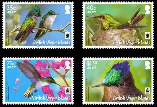 Br.  Virgin Islands Wwf Antilles Crested Hummingbird photo