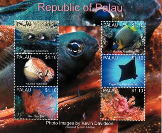 Palau 2013 Marine Life I 6v M/s Fish Angelfish Ray Coral Crab Red Sea Fan photo