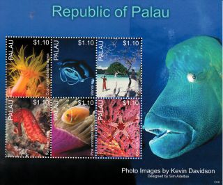 Palau 2013 Marine Life Ii 6v M/s Fish Manta Ray Sea Horse Anemone Coral Fan photo