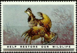 Ruffed Grouse,  National Wildlife Federation,  Year 1938,  Reprinted In 1987, .  - photo