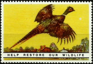 Common Pheasant,  National Wildlife Federation Year 1938,  Reprinted In 1987, photo
