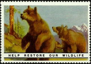 Grizzly Bear,  National Wildlife Federation,  Year 1938,  Reprinted In 1987, .  - photo