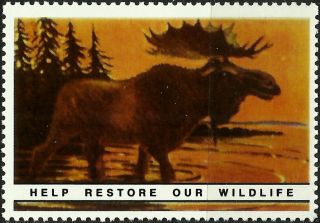 Moose,  National Wildlife Federation,  Year 1938,  Reprinted In 1987, .  - photo
