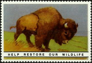 Bison,  National Wildlife Federation,  Year 1938,  Reprinted In 1987, .  - photo