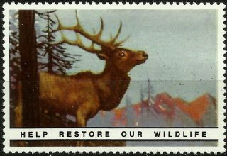 Elk,  National Wildlife Federation,  Year 1938 Reprinted In 1987, photo