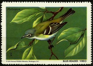 National Wildlife Federation Stamp,  Year 1956,  Blue Headed Vireo, photo