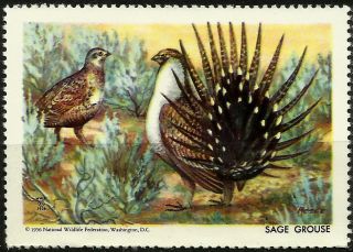 National Wildlife Federation Stamp,  Year 1956,  Sage Grouse, photo