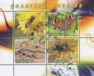 2009 Rwanda Postage First Day Issue Mini - Sheet Of 4 Insects Cto photo