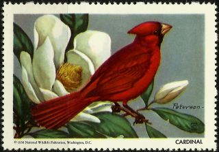 National Wildlife Federation Stamp,  Year 1956,  Cardinal, photo