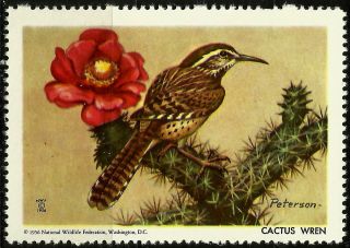 National Wildlife Federation Stamp,  Year 1956,  Cactus Wren, photo