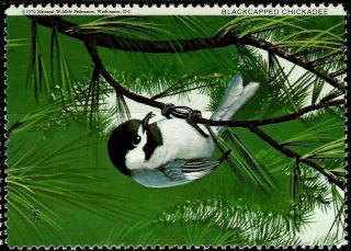 National Wildlife Federation Stamp,  Year 1970,  Blackcapped Chickadee, photo
