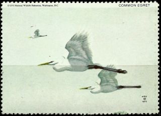 National Wildlife Federation Stamp,  Year 1970,  Common Egret, photo