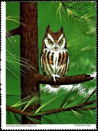 National Wildlife Federation Stamp,  Year 1970,  Screech Owl, photo