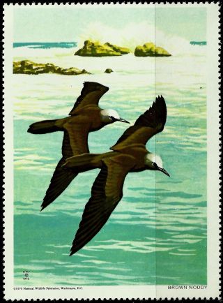 National Wildlife Federation Stamp,  Year 1970,  Brown Noddy, photo
