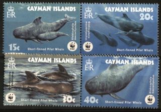 Cayman Islands 2003 Worldwide Fund For Nature (wwf) Fish/whales Sc 902 - 905 photo