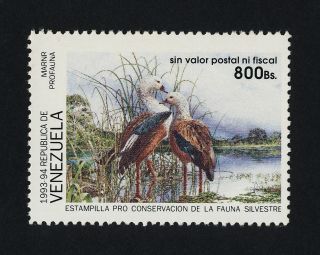 Venezuela Conservation Bird Stamp photo