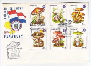Paraguay,  Flora,  Mushrooms,  Fdc 1985 photo