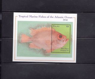 Palau 2000 Atlantic Ocean Fish Scott 590 Souvenir Sheet photo
