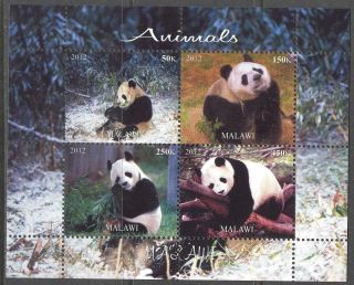 2012 Animals Panda Sheet Of 4 Mdc2209 photo