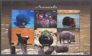 2012 Animals Hippopotamus Sheet Of 6 Mdc2210 photo
