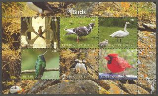 2011 Birds Xviii Pigeon Sheet Of 6 Mdbc1039 photo