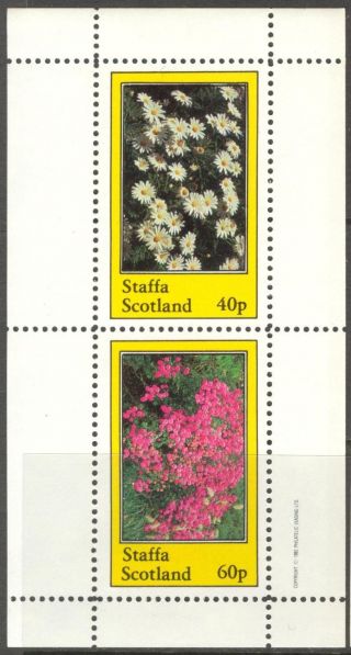 Staffa (br.  Local) 1982 Flowers I Camomile Sheet Of 2 Ns202 photo