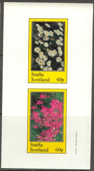 Staffa (br.  Local) 1982 Flowers I Camomile Sheet Of 2 Imperf.  Ns203 photo