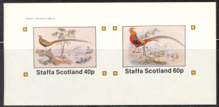 Staffa (br.  Local) 1982 Birds I Peacock Sheet Of 2 Imperf.  Ns207 photo