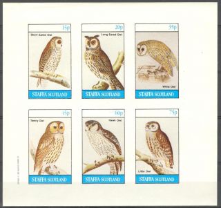 Staffa (br.  Local) 1982 Birds Owls Sheet Of 6 Imperf.  Ns215 photo