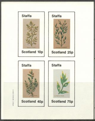 Staffa (br.  Local) 1982 Flowers Iv Sheet Of 4 Imperf.  Ns226 photo