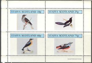 Staffa (br.  Local) 1981 Birds I Sheet 4 Ns264 photo