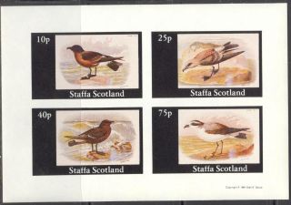 Staffa (br.  Local) 1981 Birds V Sheet 4 Imperf.  Ns273 photo