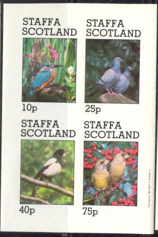 Staffa (br.  Local) 1981 Birds Vi Pigeon Sheet 4 Imperf.  Ns274 photo