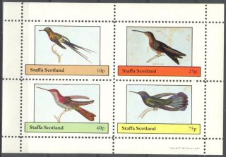 Staffa (br.  Local) 1981 Birds Ix Sheet 4 Ns280 photo