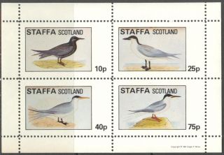 Staffa (br.  Local) 1981 Birds Xi Sheet 4 Ns284 photo