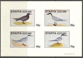 Staffa (br.  Local) 1981 Birds Xi Sheet 4 Imperf.  Ns285 photo