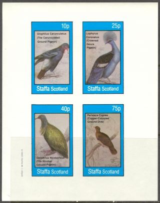 Staffa (br.  Local) 1982 Birds Ix Pigeons Sheet 4 Imperf.  Ns312 photo