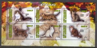 2013 Domestic Cats Sheet Of 6 D129 photo