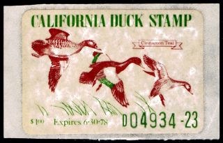 Ca 7 - 1977 Self Adhesive California Duck Stamp - Vf - $45.  00 (esp 5881) photo