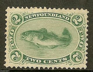 Canada,  Newfoundland 1870 Sc 24a,  2¢ Green,  Yellow Paper,  Vf,  Ng - Cv $180.  00 photo