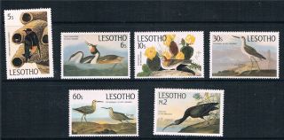 Lesotho 1985 John Audubon Sg 646/51 photo