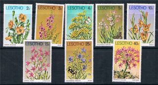 Lesotho 1978 Flowers Sg 347/54 photo