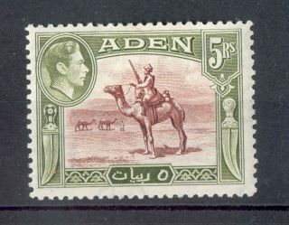 Aden Kgvi 1939 - 48 5r Red - Brown & Olive - Green Sg26 Mm photo