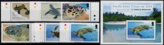 B.  I.  O.  T.  Sg 312 - 317 + Ms318 2005 Turtles Unmounted Mint/never Hinged photo