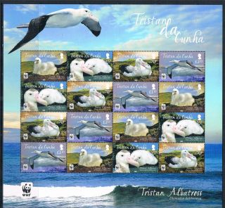 Tristan Da Cunha 2013 Tristan Albatross 16v Sheet photo