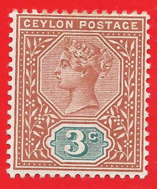 3c Terracotta / Blue - Green Stamp 1893 Ceylon Queen Victoria Sg245 photo
