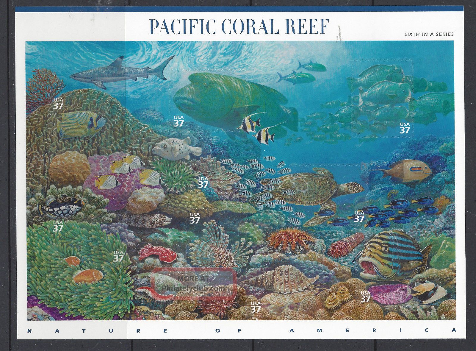 3831 Pacific Coral Reef Sheet