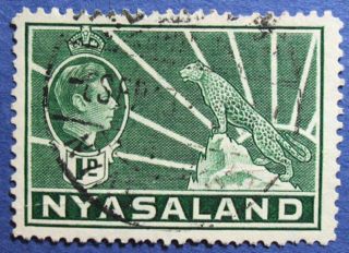 1942 Nyasaland 1d Scott 55a S.  G.  131b  Cs08897 photo
